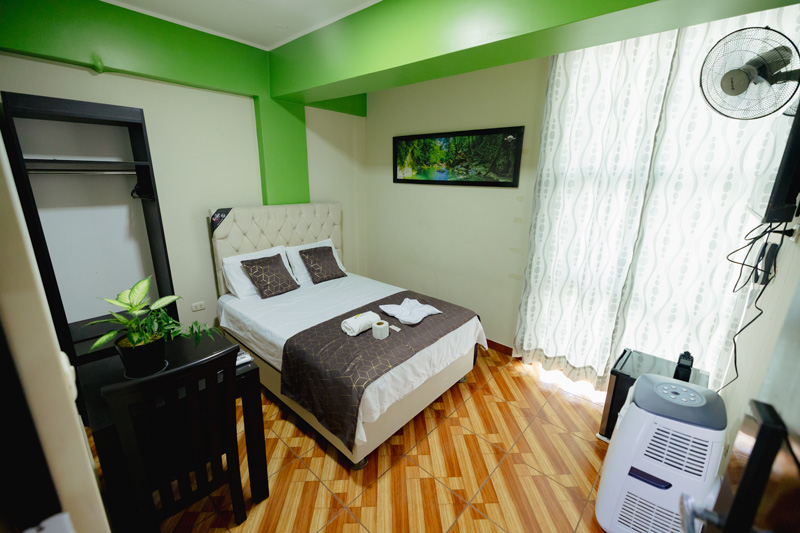 Habitacion Ejecutiva 201